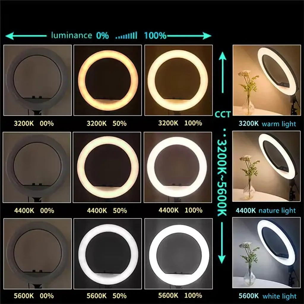 14-Inch Selfie Ring Light with Tripod Stand – Adjustable Photographic Lamp with 3 Mobile Holders